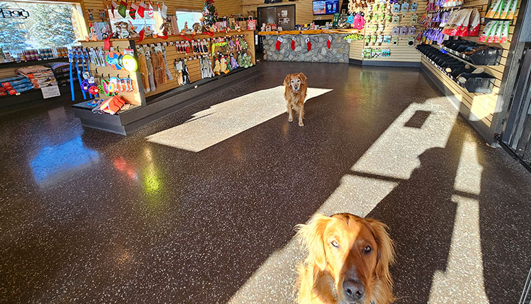 Northland Pet Lodge retail store
